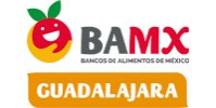 logo_BAMX